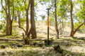 Maxtrax All-Terrain Schaufel inkl. Montagekit für MKII & Xtreme Bergeboards