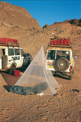Moskitonetz Brettschneider Fine Mesh Pyramid Double 2,0 x 2,0 x 2,3 m